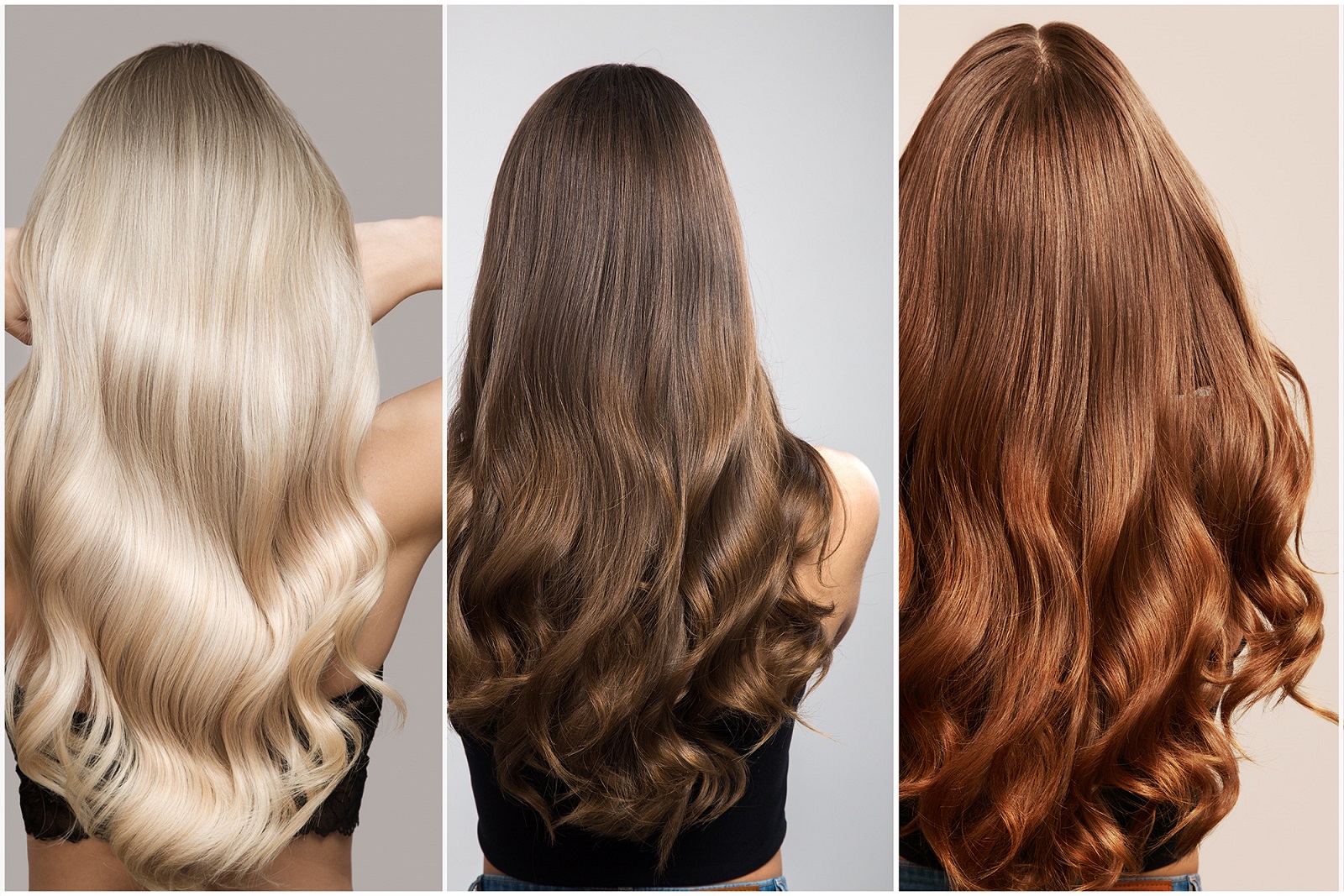 Hair of different shades of brunette, blonde and red. Woman coll